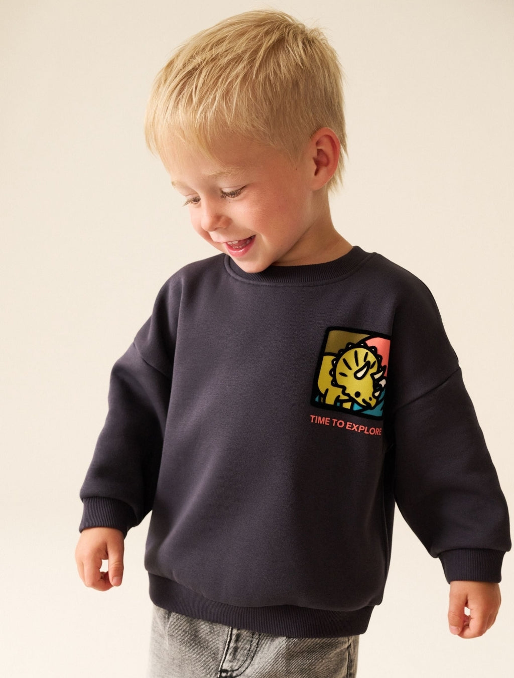 Dark Grey Dinosaur Back Printed Crew
NeckSweatTop