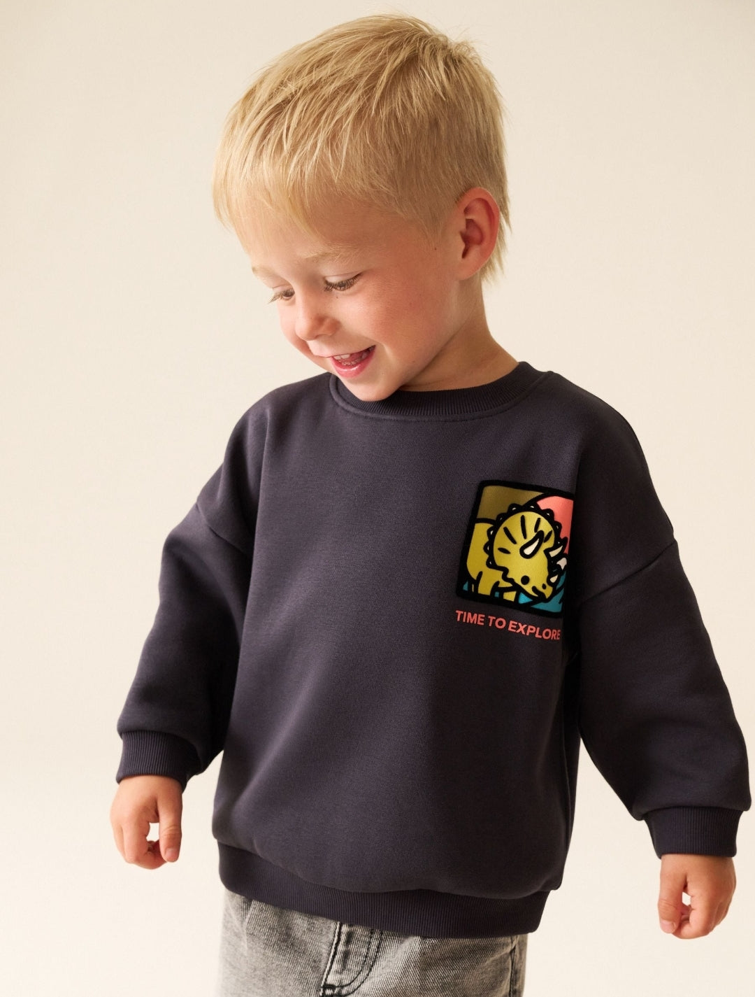 Dark Grey Dinosaur Back Printed Crew
NeckSweatTop