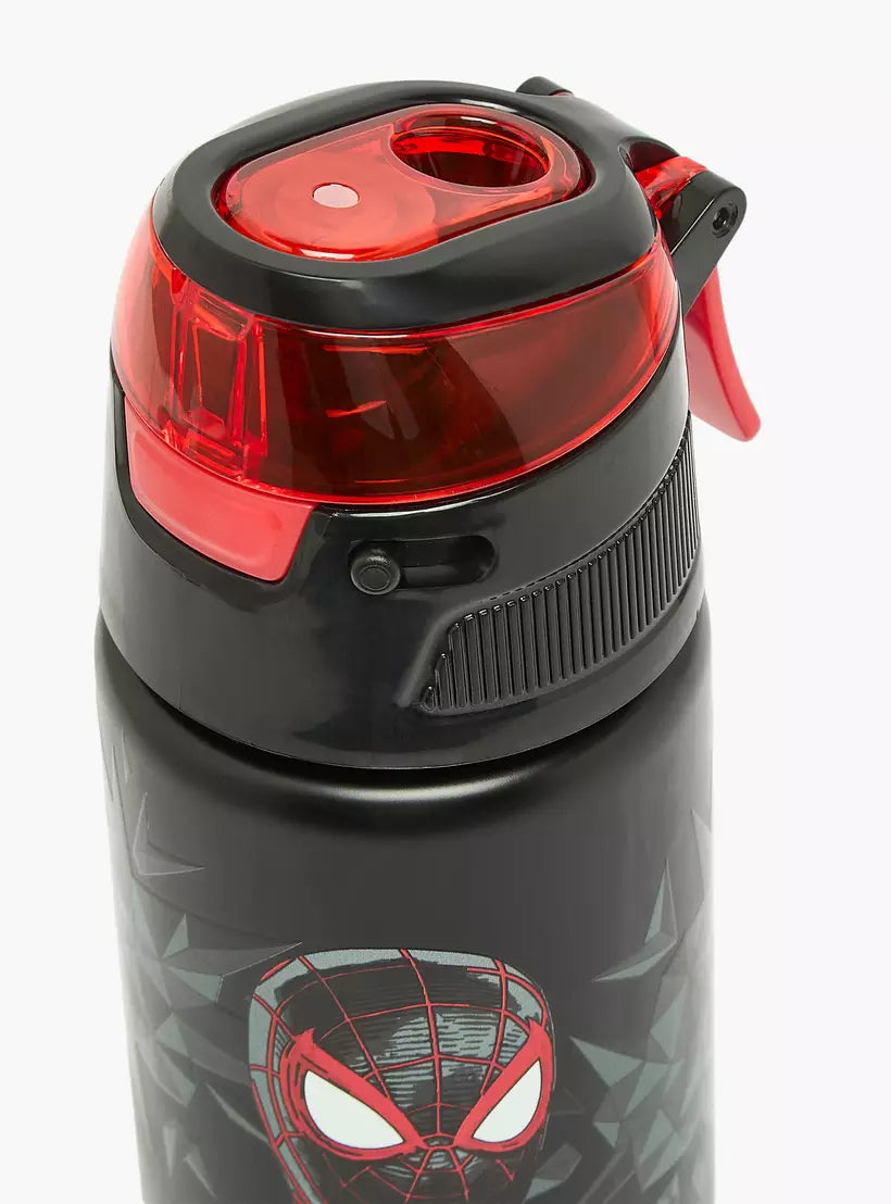 Spider-Man Print Stainless Steel Water Bottle with Spout and Carry Lid