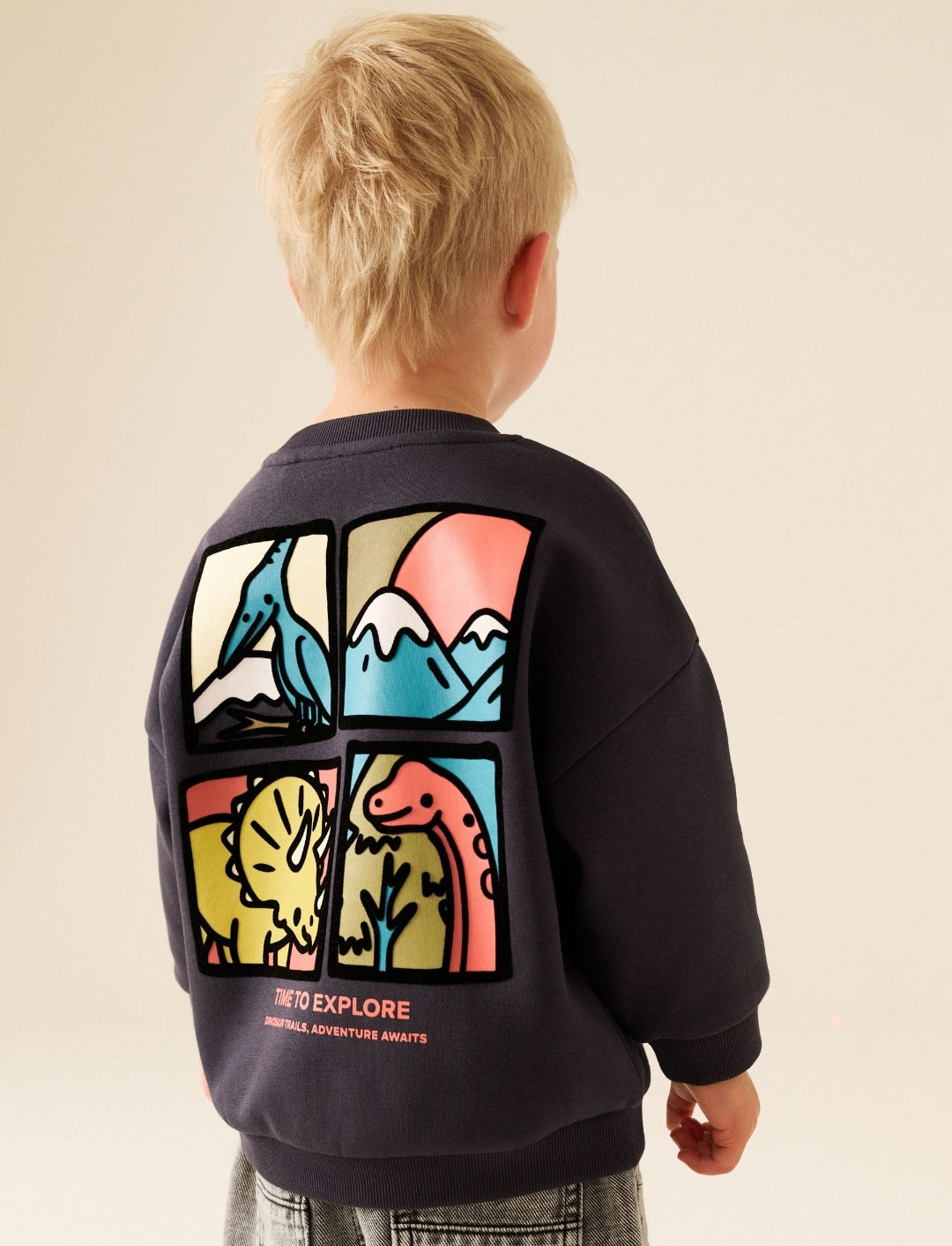 Dark Grey Dinosaur Back Printed Crew
NeckSweatTop